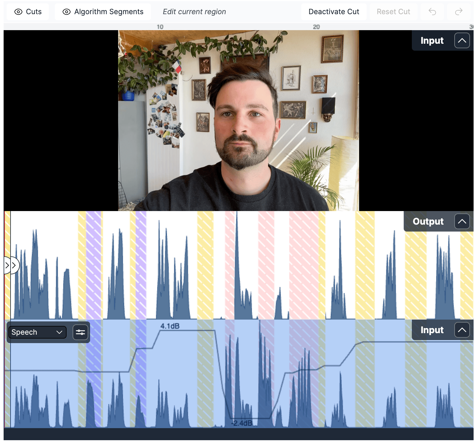 Auphonic Editor showing video track with color-coded automatic cut regions